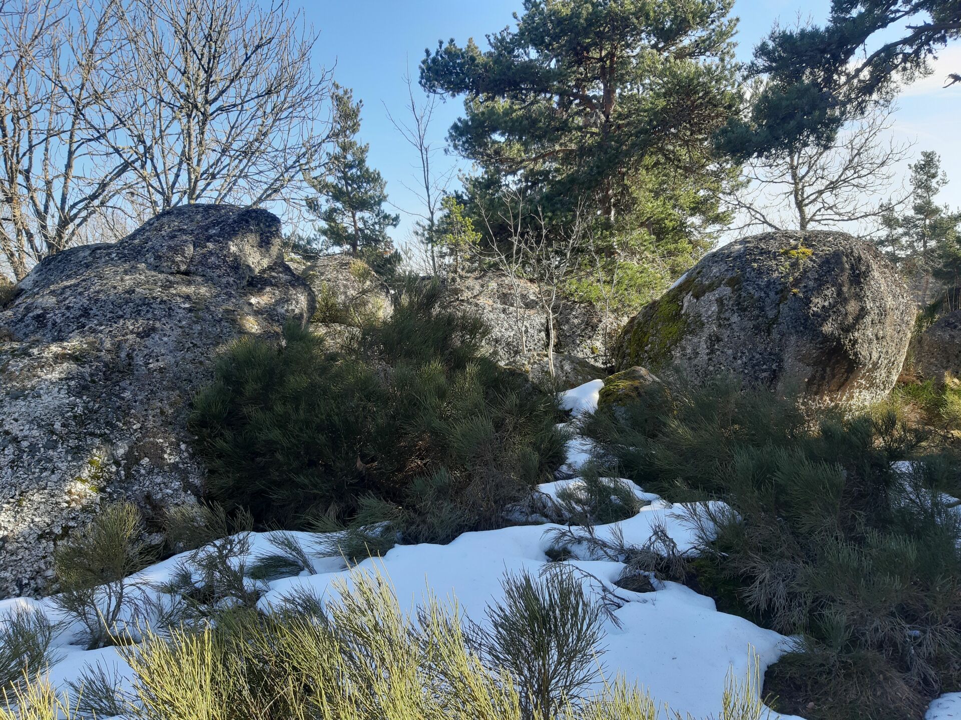 Chaos granitique en Lozère